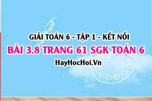 Giải bài 3.8 trang 61 Toán 6 Tập 1 SGK Kết nối tri thức